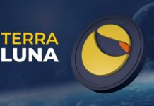 Kripto piyasasının gündemindeki sabitkoin çakıldı Terra Luna
