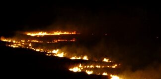 Yüksekova’nın kuş cenneti 4 gündür alev alev yanıyor